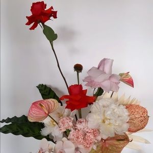 Meet your Posher, Lucinda